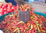 Pedisnya Harga Cabai Rawit di Kendari, Kini Tembus Rp85.000 per Kilogram