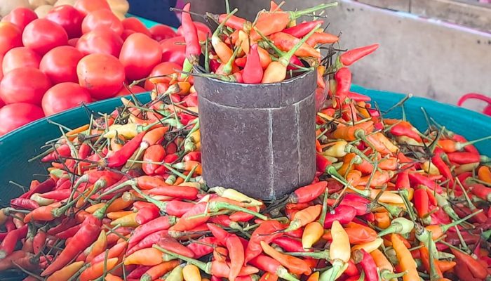 Pedisnya Harga Cabai Rawit di Kendari, Kini Tembus Rp85.000 per Kilogram