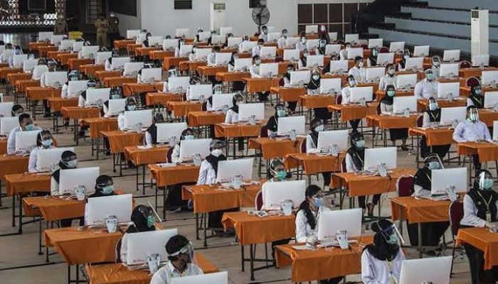 MenPAN-RB Bakal Perbanyak Jatah Fresh Graduate di Seleksi CPNS 2024