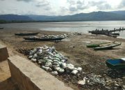 Aksi Tambang Ilegal Batu Karang di Muna Panen Protes dari Masyarakat Pesisir
