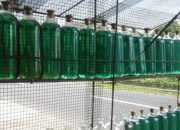 Rencana Pertamina Hapus Pertalite, Ketahui Kandungan Jenis BBM Ini