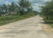 Warga Desa Lawada Jaya Keluhkan Jalan Rusak & Berlubang, Diakui Terjadi Sejak Tahun 2022