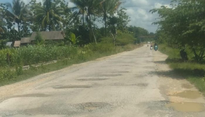 Warga Desa Lawada Jaya Keluhkan Jalan Rusak & Berlubang, Diakui Terjadi Sejak Tahun 2022