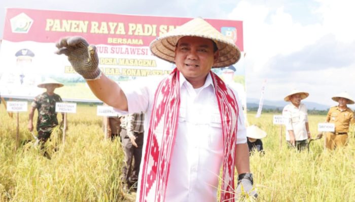 Andap Wanti Kepala Daerah Awasi Panen Beras Lokal Tak Dijual Keluar Sultra