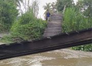 Banjir Rendam Wilayah Koltim: 100 Ha Padi Terancam Puso, Dua Jembatan Rusak