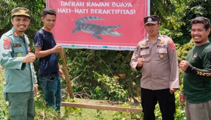 Buaya Kerap Muncul, BKSDA Sultra Pasang Papan Peringatan Lima Titik di Mubar