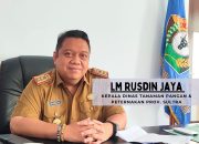 Distanak Pastikan Keberlanjutan Cluster Budidaya Sorgum di Wakatobi