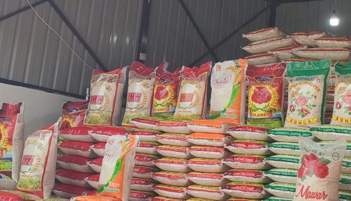 Semua Jenis Beras di Kendari Alami Lonjakan Harga Signifikan, Ini Updatenya!