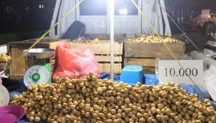 Cuan Manis dari Buah Langsat Kolaka yang Dijajakan Sepanjang Jalan Kota Lulo