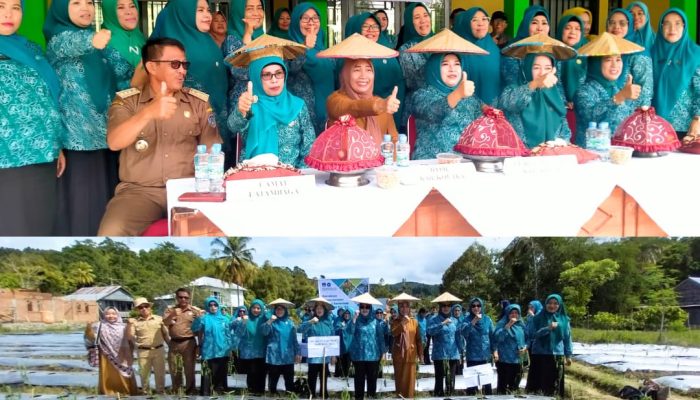 Dipusatkan di Latambaga, TP PKK Kolaka Ikut Sukseskan Gerakan Tanam Cabai Serentak se-Indonesia