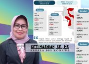 Rekomendasi BPS Pasca Inflasi Konawe Naik: Tarif Tinggi RS Dibatalkan, Tata Niaga Beras Diawasi
