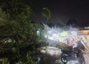 Pohon Tumbang Tutupi Jalan Raya Pasar Panjang; Pengendara Tidak Bisa Melintas