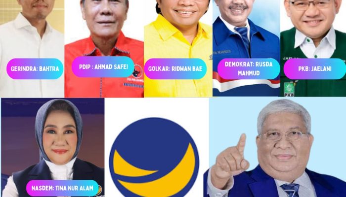 Ini Politisi Sultra yang Lolos ke DPR RI: Tina Nur Alam Mulus ke Senayan, Ali Mazi Terdepak