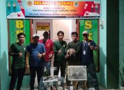 BKSDA Sultra Gagalkan Penyeludupan Satwa Kanguru di KM Nggapulu Pelabuhan Baubau