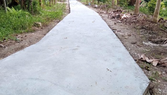Sahuti Keluhan Petani, Akses Jalan Usaha Tani dan Produksi di Koltim Dibeton