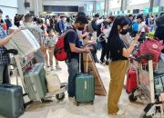 Daftar 19 Barang Bawaan dari Luar Negeri yang Dibatasi: Beras hingga Pembalut