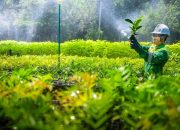 Pj Gubernur Sulsel Ajak Masyarakat Dukung Keberlanjutan PT Vale