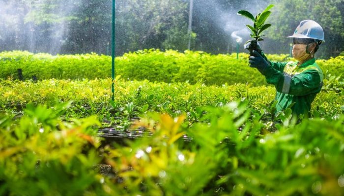 Pj Gubernur Sulsel Ajak Masyarakat Dukung Keberlanjutan PT Vale