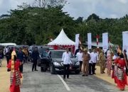 Sejarah Singkat Tari Linda, Tarian Masyarakat Suku Muna Dipakai Sambut Jokowi Saat Kunker ke Mubar
