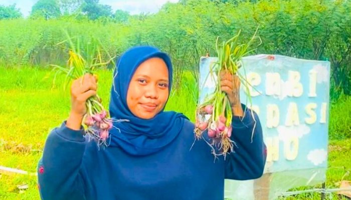 Inovasi Mahasiswa GenBi UHO Bantu Tekan Inflasi: Galakkan Program Budidaya Bawang Merah