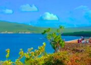 Pesona Waburi Park, Ikon Wisata Buton Selatan Diadopsi Dari Nama Bunga Endemik