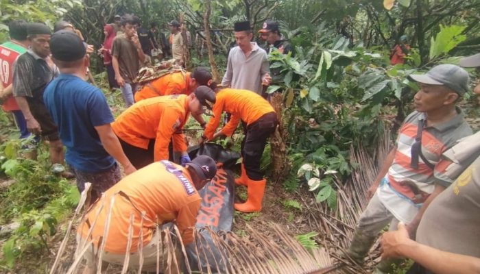 Kronologi Tewasnya Perempuan di Koltim, Hilang di Hutan Usai Panen Coklat