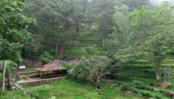 10 Peserta Lomba Kurasi Proposal Film Desa Wisata Sultra, Terbanyak Dari Kota Baubau