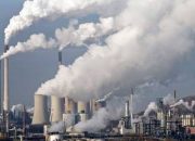 Ilmuwan Temukan Terobosan Penyerap Karbon Dioksida Pengganti Pohon