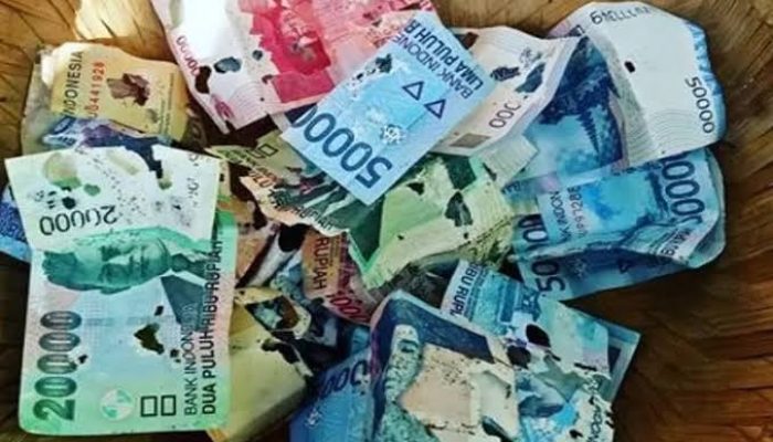 Inilah Syarat Uang Rusak atau Sobek yang Dapat Ditukarkan ke Bank