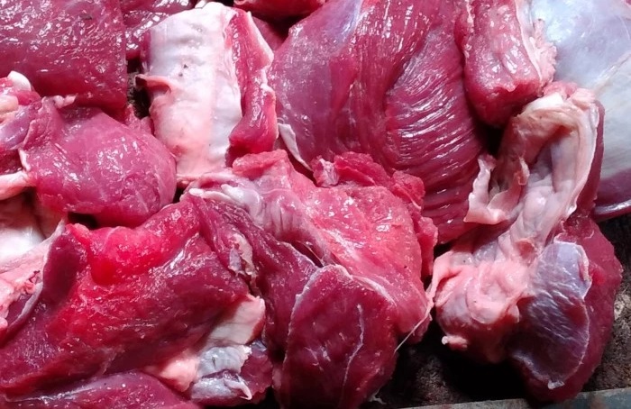 daging kambing