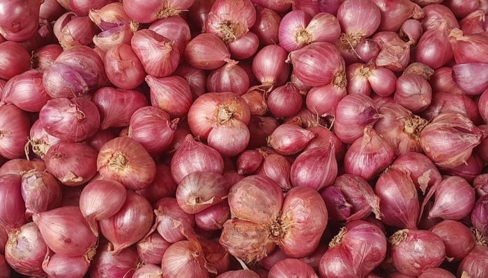 Mendekati Iduladha Harga Komoditi Bawang Merah di Kendari Turun, Bawang Putih Stabil