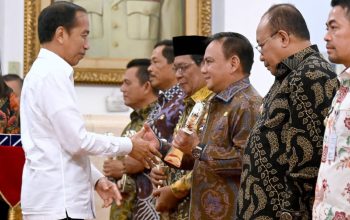 Pj Gubernur Sultra Andap Budi Revianto menerima penghargaan dari Presiden RI Joko Widodo di Istana Negara, Jumat (14/6/2024).