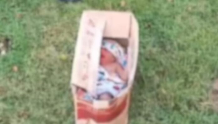 Nasib Bayi Perempuan yang Ditemukan di Depan Kantor DPRD Muna, Kini Dititip ke Panti Asuhan