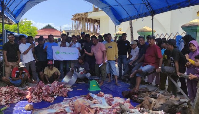 Program Tebar Hewan Kurban Dompet Dhuafa Volunteer Sultra Sasar Pelosok Sultra: Buteng 25 Ekor Sapi