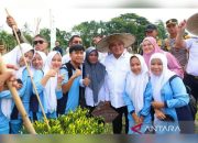 Sukses Budidaya Tanaman Sayur, Siswa SMKN PP 5 Konawe Perluas Lahan Garapan