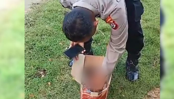 Warga Kecamatan Lasalepa Dihebohkan Penemuan Kardus Berisi Bayi Perempuan di Depan Kantor DPRD Muna