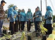 TP PKK Kolut Roadshow Penilaian Lomba 10 Program PKK ke Desa-desa