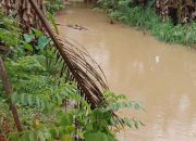 Tim SAR Kolaka Gelar Operasi Pencarian Perempuan Belia Diduga Tenggelam di Sungai Lalowosula Koltim
