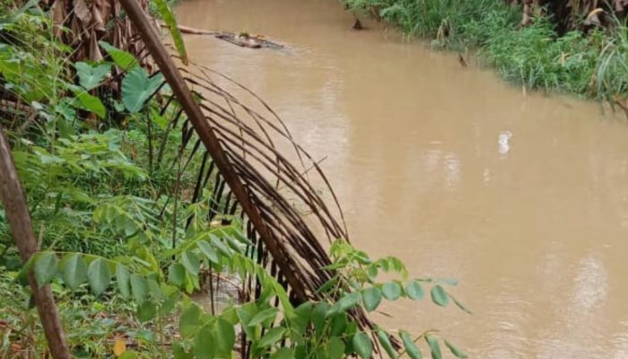 Tim SAR Kolaka Gelar Operasi Pencarian Perempuan Belia Diduga Tenggelam di Sungai Lalowosula Koltim