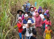 Petani Tondowatu Girang Bukan Main, Disambangi Bupati Abd Azis Sampai ke Kebun