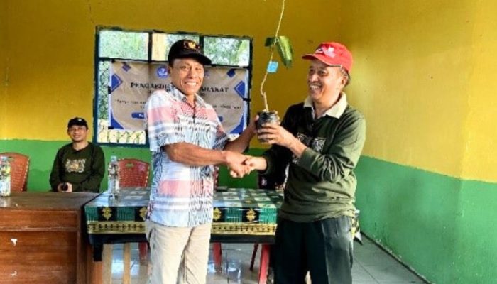 Optimalisasi Lahan Pesisir Konut, Mahasiswa Ilmu Tanah UHO Beri 100 Pohon Mangga ke Masyarakat