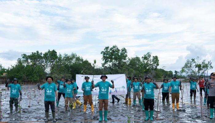 PT Vale IGP Pomalaa Aksi Tanam Ribuan Bibit Bakau di Pesisir Desa Totobo