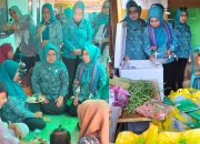 Implementasi Program BS2A, TP PKK Kolaka Berhasil Turunkan Angka Stunting di Towua Kolaka