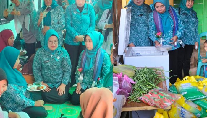 Implementasi Program BS2A, TP PKK Kolaka Berhasil Turunkan Angka Stunting di Towua Kolaka