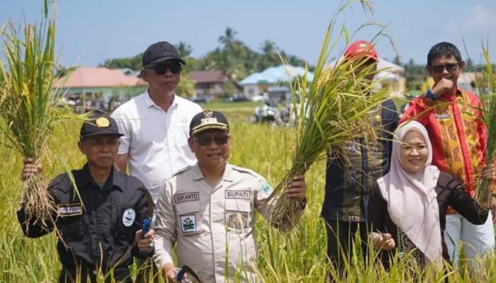 Hadiri Pesta Panen di Kecamatan Wawo Kolut, Sukanto Toding Beri Apresiasi Tinggi ke Para Petani
