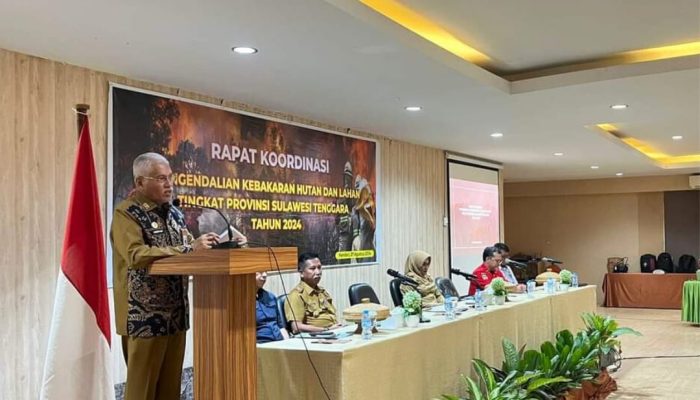 Kasus Kebakaran Hutan & Lahan di Sultra Peringkat ke-11 Nasional, Bombana Paling Luas