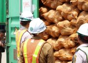 Tembus Pasar Internasional, 646 Ton Kelapa Bulat Sultra Diekspor ke China