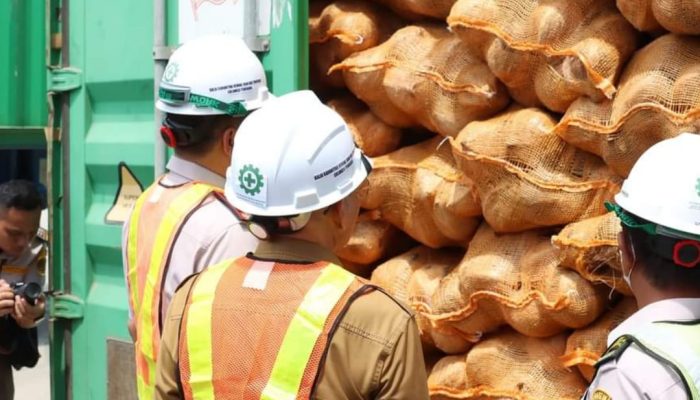 Tembus Pasar Internasional, 646 Ton Kelapa Bulat Sultra Diekspor ke China