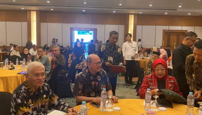 Sultra Raih TPID Award 2024: Provinsi Berkinerja Terbaik di Sulawesi, Masuk Daftar Inflasi Terendah