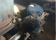 FKSPN Beber Fakta Karyawan PT OSS Morosi yang Tewas di Lokasi Kerja PT HKC